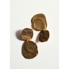 Pendientes largo monedas