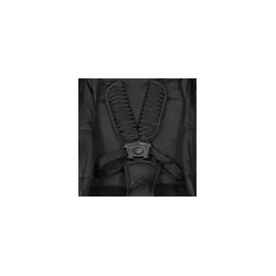 Carriola Aston Gold Black lines