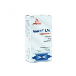 AMCEF INY 1G. I.M. 3.5 ML V.P.