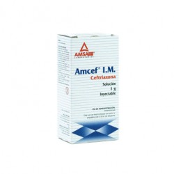 AMCEF INY 1G. I.M. 3.5 ML V.P.
