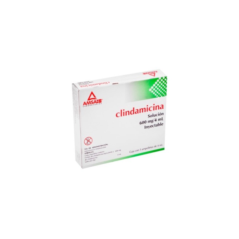 CLINDAMICINA 600 C/ 5AMP 4 ML