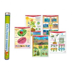 Colección de Pósters Bios