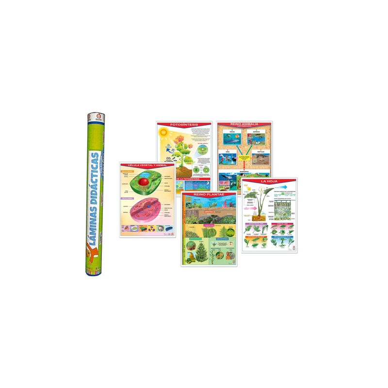 Colección de Pósters Bios