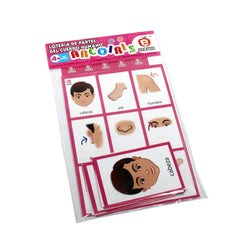 Lotería Arcoíris de Partes del Cuerpo Humano