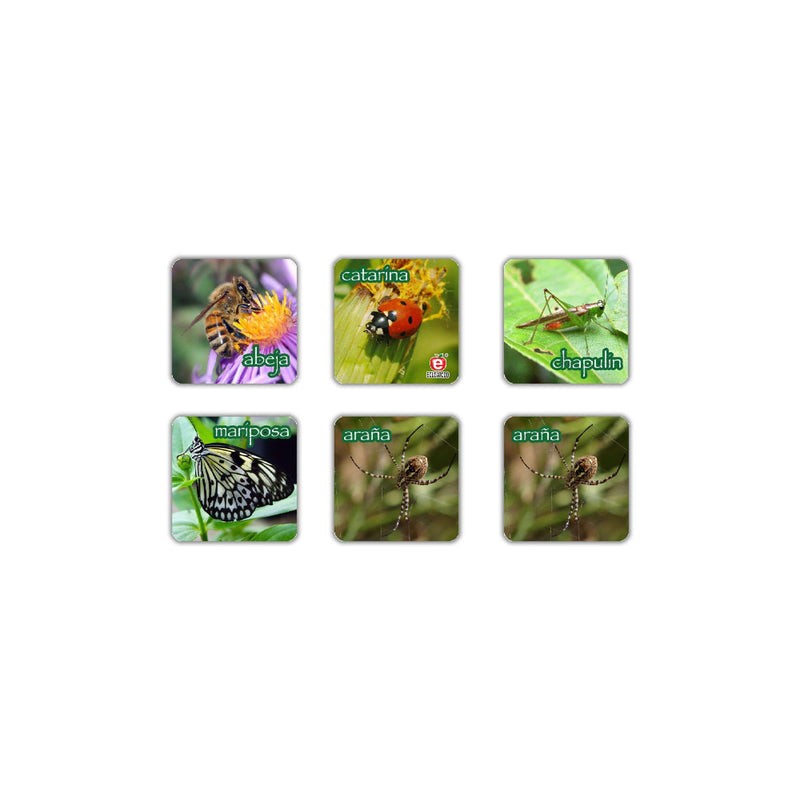 Memopares de Insectos