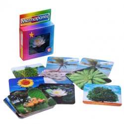 Memopares de Plantas
