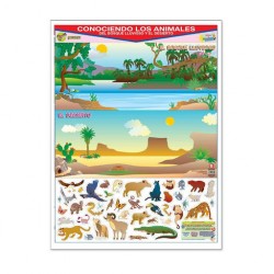 Póster Conociendo Los Animales del Bosque Lluvioso y el Desierto