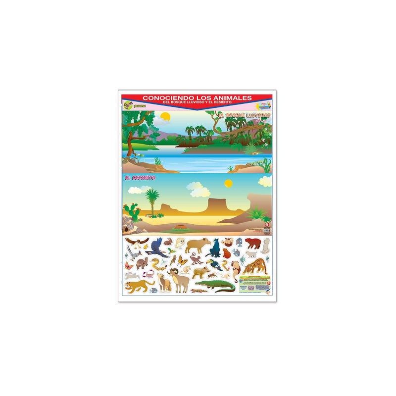 Póster Conociendo Los Animales del Bosque Lluvioso y el Desierto
