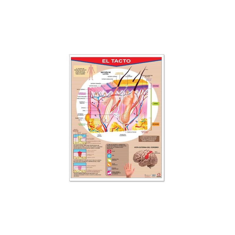 Póster El Tacto