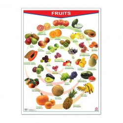 https://www.educatodo.com.mx/cdn/shop/products/educatodo-poster-poster-fruits-vegetables-23396157948094_100x75_crop_center.jpg?v