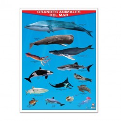 Póster Grandes Animales del Mar