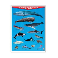 Póster Grandes Animales del Mar