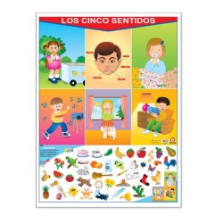 Póster Los Cinco Sentidos