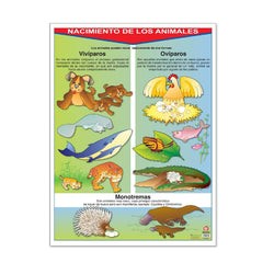 Póster Nacimiento de los Animales