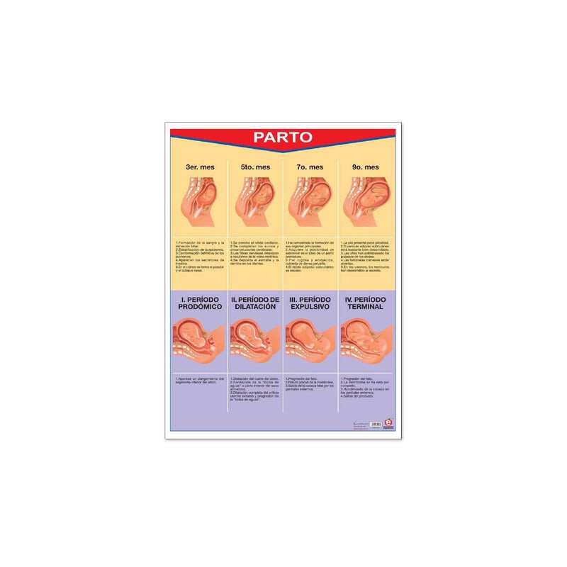 Póster parto