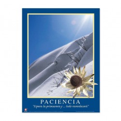 Póster Motivacional Paciencia