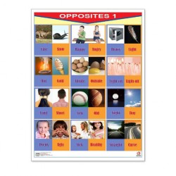 https://www.educatodo.com.mx/cdn/shop/products/educatodo-poster-poster-opposites-1-opposites-2-23396239737022_100x75_crop_center