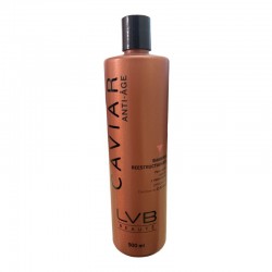 Shampoo Reestructurante anti-age acelera la producción de keratina 500ml - LVB Beauté