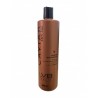 Shampoo Rojo Radiante anti-age con elixir de caviar para rojos y caobas 500ml - LVB Beauté