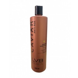 Shampoo Humectante aporta fuerza y resistencia, cabello nutrido y humectado 500ml - LVB Beauté