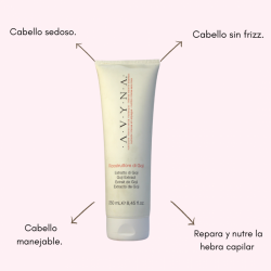 Di Goji Riconstruttore nutre y protege el cabello teñido 250ml - AVYNA