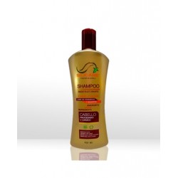 Shampoo Reestructurante Care Color para cabello Procesado y Dañado - Silicare 400 ml.