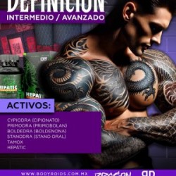 DEFINICIÓN (Intermedio-Avanzado)