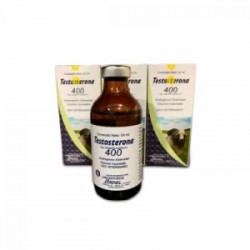 TESTOSTERONA 400 50 ML