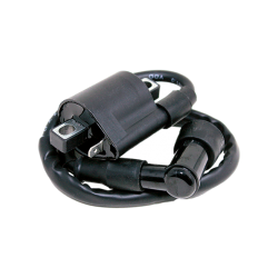 Bobina Ext MCT Ft 125/ Ft 150 Oem