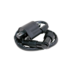 Bobina Ext MCT Ft 125/ Ft 150 Oem