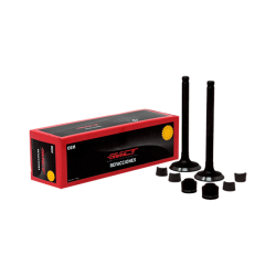 Jgo Valvulas MCT At 110/St90/Ax110/Ft110