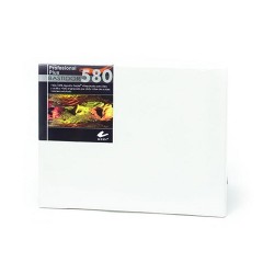 BASTIDOR C/TELA PROFESIONAL 580 30X40CM