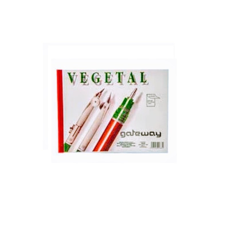 BLOCK CARTA PAPEL VEGETAL 50/55 25H