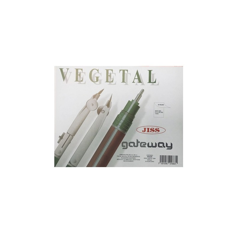 BLOCK CARTA PAPEL VEGETAL 90/95 25H