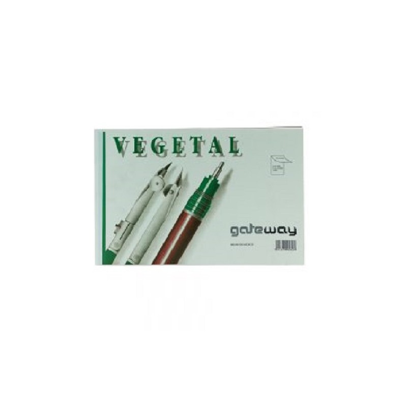 BLOCK CARTA PAPEL VEGETAL 90/95 50H