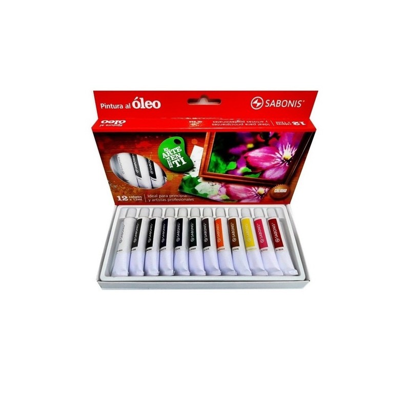 SET PINTURA AL OLEO SURT 12PZ