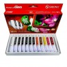 SET PINTURA AL OLEO SURT 12PZ