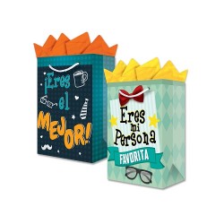 BOLSA PARA REGALO MEDIANA 26X20X10.5CM