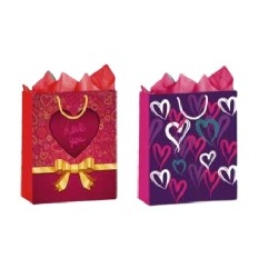 BOLSA PARA REGALO TODA OCASION MEDIANA