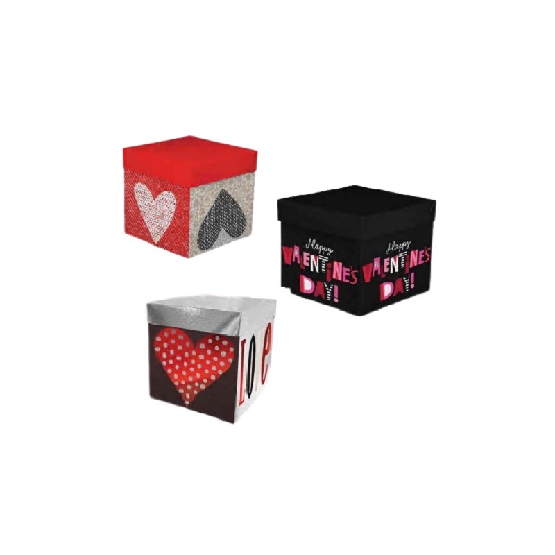 CAJA CUBO M.C CHICO  4