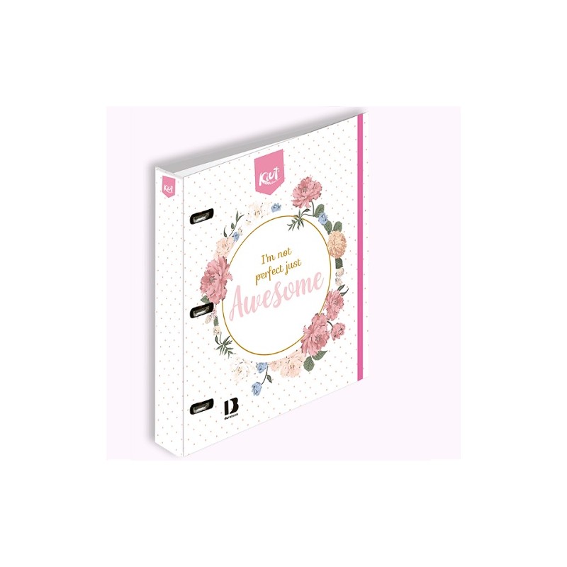 CARPETA PROFESIONAL 3A 100H RAY