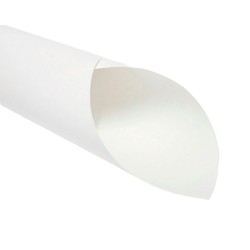 CARTULINA BLANCA 50X65CM