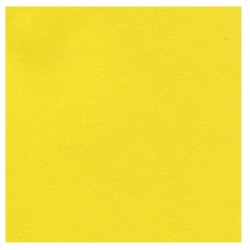 CARTULINA BRIGHT 176G 58.9X88.9