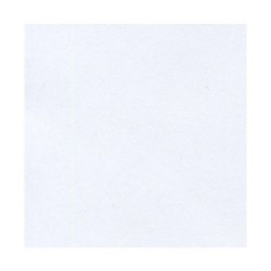 CARTULINA CORSICAN 352G BCA 58X89CM