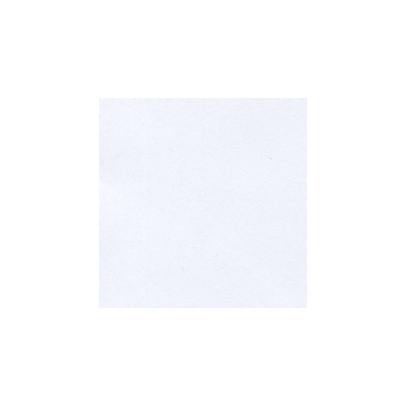 CARTULINA CORSICAN 352G BCA 58X89CM