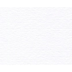 CARTULINA FABRIANO 300G BCA 50X70CM