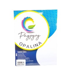 CARTULINA OPALINA BLANCA 225G 100H