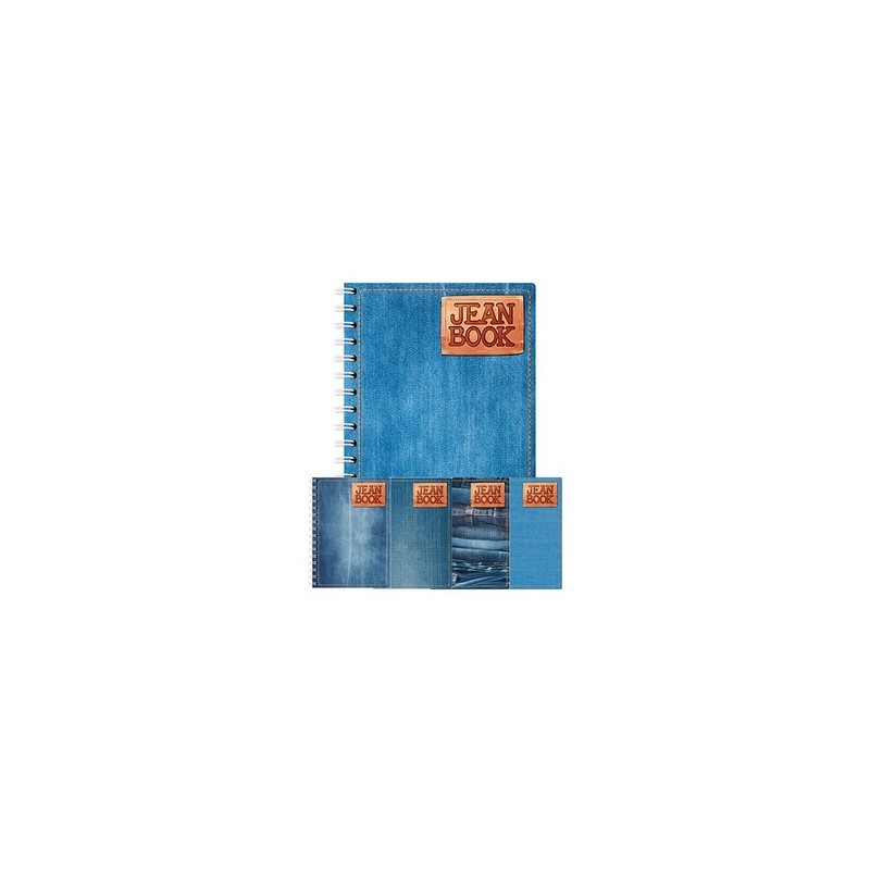 CUADERNO FRANCES 100H