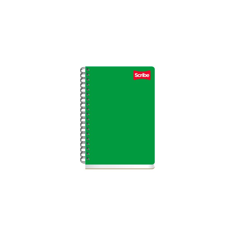 CUADERNO FRANCES CLASICO 100H