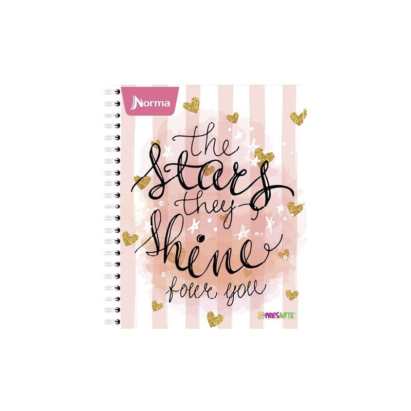 CUADERNO PROFESIONAL 100H